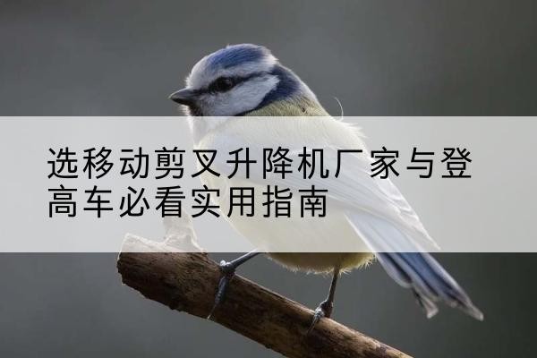 浔阳电动升降机厂家-选移动剪叉升降机厂家与登高车必看实用指南