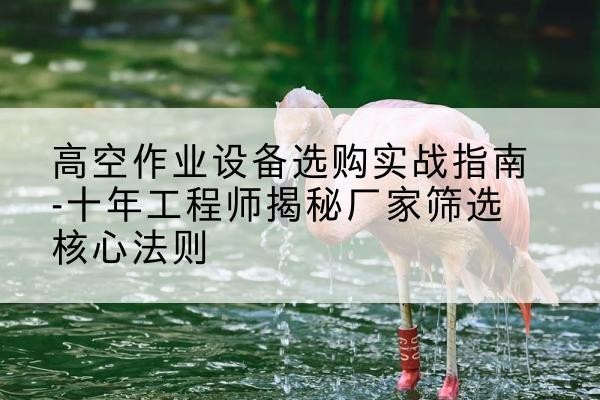 浔阳剪叉式升降机厂家-高空作业设备选购实战指南-十年工程师揭秘厂家筛选核心法则
