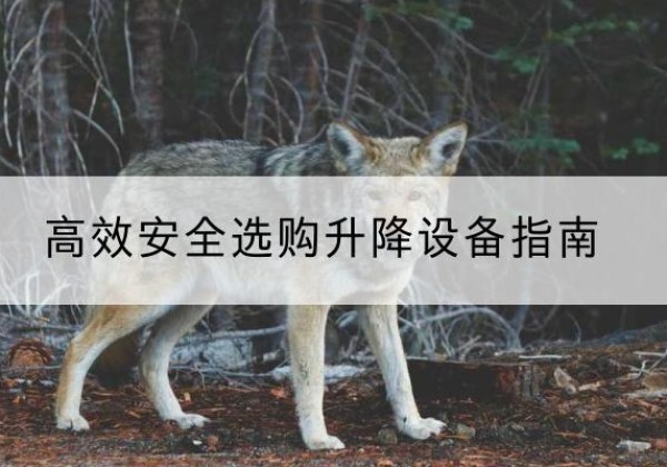 浔阳升降货梯厂家推荐-*安全选购升降设备指南