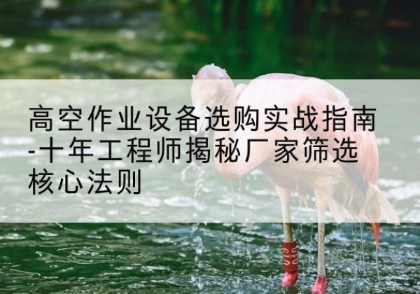浔阳剪叉式升降机厂家-高空作业设备选购实战指南-十年工程师揭秘厂家筛选核心法则
