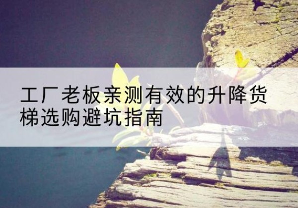浔阳升降货梯怎么选-工厂老板亲测有效的升降货梯选购避坑指南
